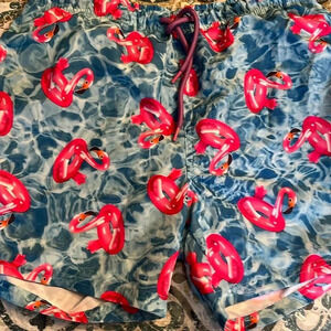 Boys swim trunks